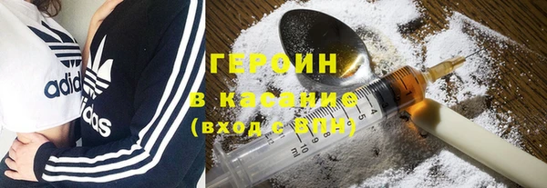 индика Арсеньев