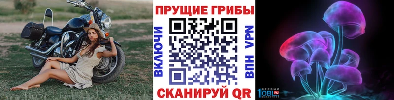 Галлюциногенные грибы MAGIC MUSHROOMS  Алейск 